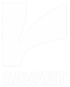 logo removebg preview